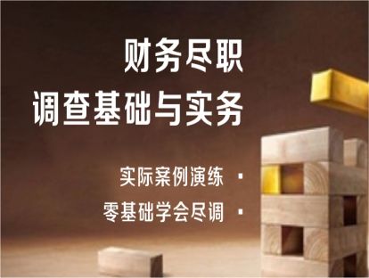 财务尽职调查第一讲试听