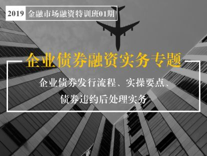 第06讲 募集说明书的披露内容和调查方向