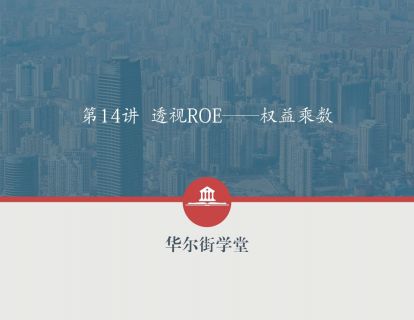 第14讲 透视ROE──权益乘数