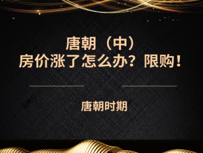 12.唐朝（中）——房价涨了怎么办？限购！