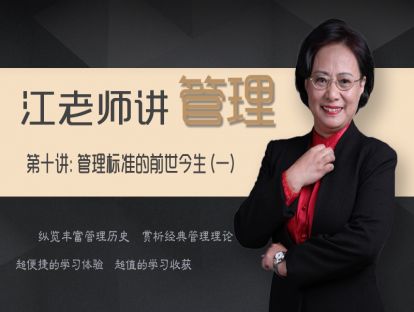 10.管理系统方法论-大公司的成功实践
