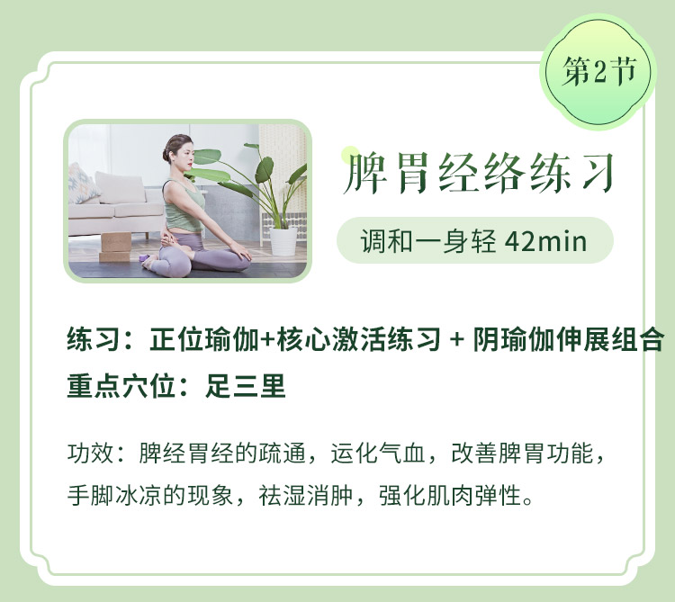五行12经络排毒瑜伽>6大主题体式/序列精讲带练