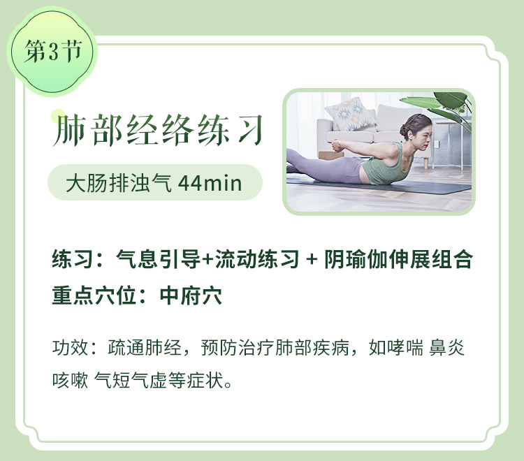 五行12经络排毒瑜伽>6大主题体式/序列精讲带练