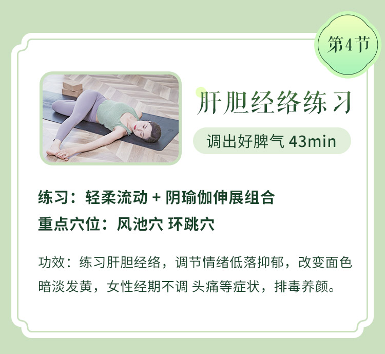 五行12经络排毒瑜伽>6大主题体式/序列精讲带练