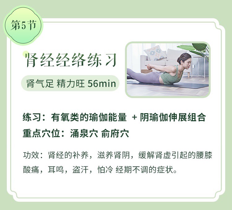 五行12经络排毒瑜伽>6大主题体式/序列精讲带练