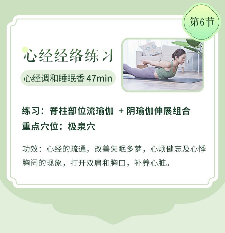 五行12经络排毒瑜伽>6大主题体式/序列精讲带练