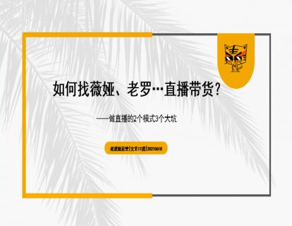 第25讲 如何找微娅、老罗……直播带货？ 01