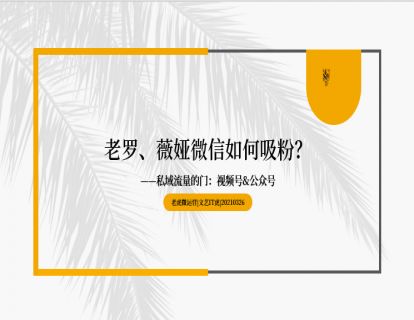 第10讲 老罗、微娅，如何微信吸粉？01