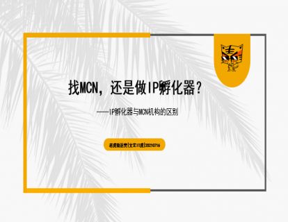 第5讲 找MCN，还是做IP孵化器？ 01