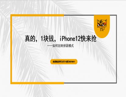 第21讲 1块钱的iPhone12，拼团模式这么玩 01