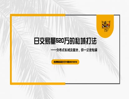 第22讲 日交易量520万的私域打法 01
