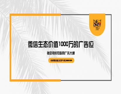 第15讲 微信生态价值1000万的广告位--被忽视的互联网广告大牌01