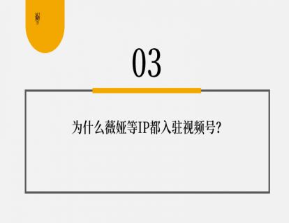 第12讲 老罗、微娅，如何微信吸粉？03