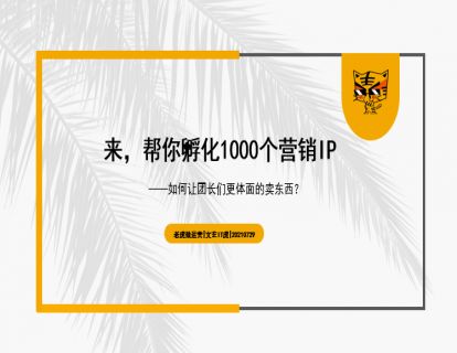 第13讲 来，帮你孵化1000个营销IP 01