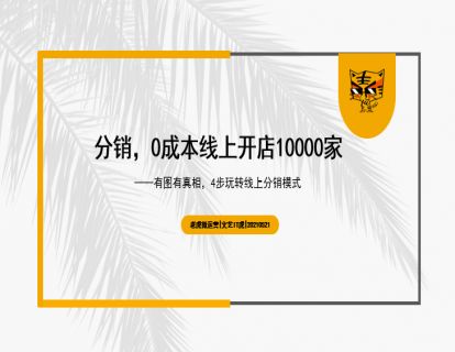 第13讲 分销，0成本线上开店10000家 01
