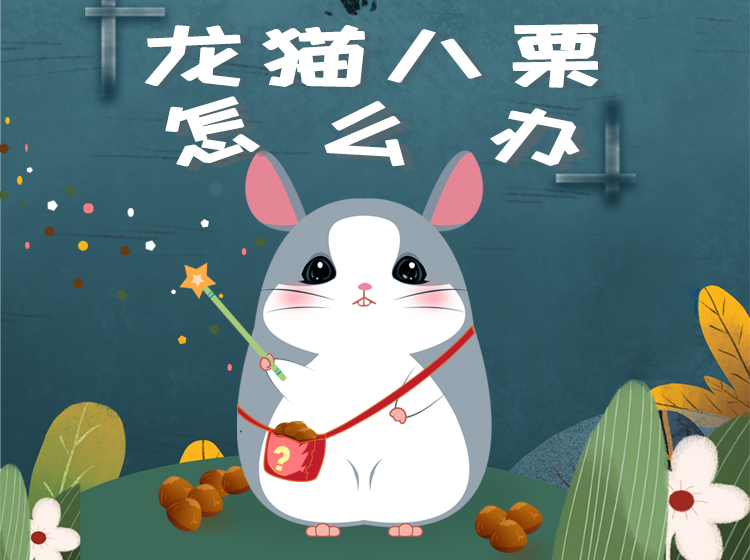 龙猫八栗怎么办｜好习惯养成故事