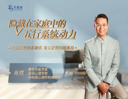 先导片—《隐藏在家庭中的五行系统动力》