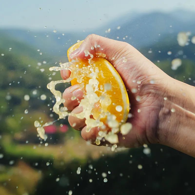 图片[5]-今日主推｜赣南脐橙 2024年12月6日中午12点-远方好物 - 有机食品与健康生活专家