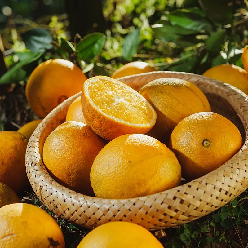图片[2]-今日主推｜赣南脐橙 2024年12月6日中午12点-远方好物 - 有机食品与健康生活专家
