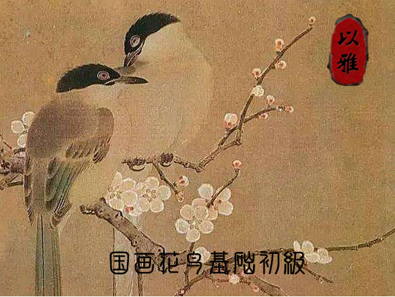国画：花鸟二十次零基础入门课程