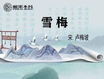 雪梅（宋　卢梅坡）