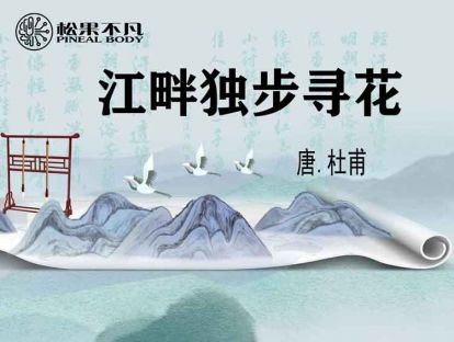 江畔独步寻花（唐　杜甫）