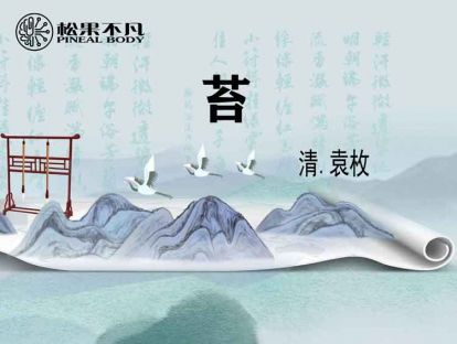 苔（清　袁枚）