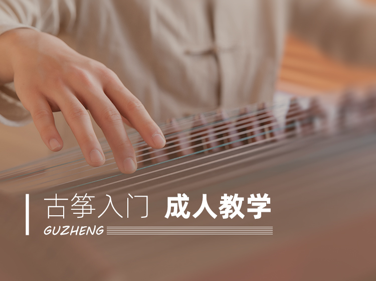 古筝入门丨成人教学（16课）