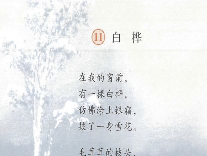 【四年级】十一、《白桦》