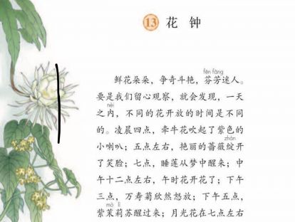 【三年级】----- 第十三课《花钟》