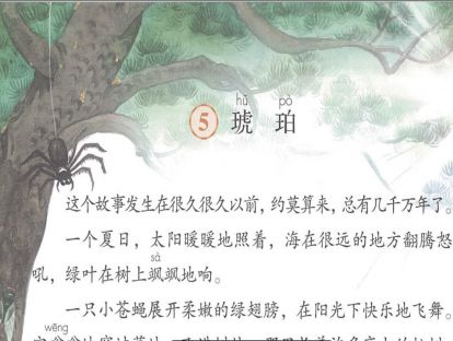 【四年级】五、《琥珀》