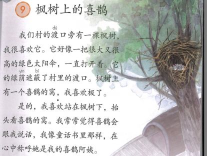 【二年级】----- 课文九《枫树上的喜鹊》