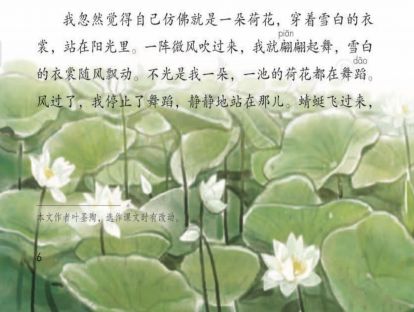 【三年级】----- 第三课《荷花》