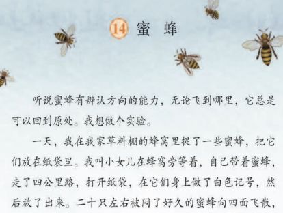 【三年级】----- 第十四课《蜜蜂》
