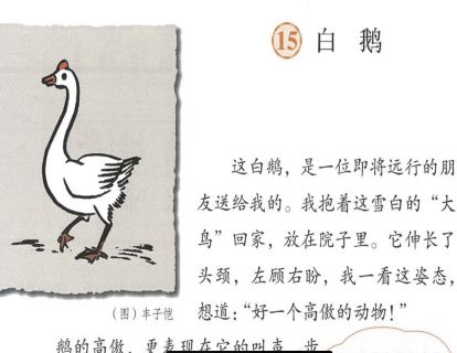【四年级】十五《白鹅》