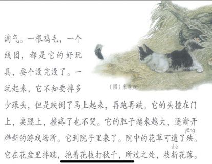 【四年级】十三、《猫》
