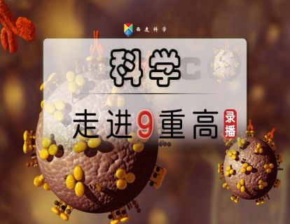【走进重高】九年级01 探索酸的性质（1）