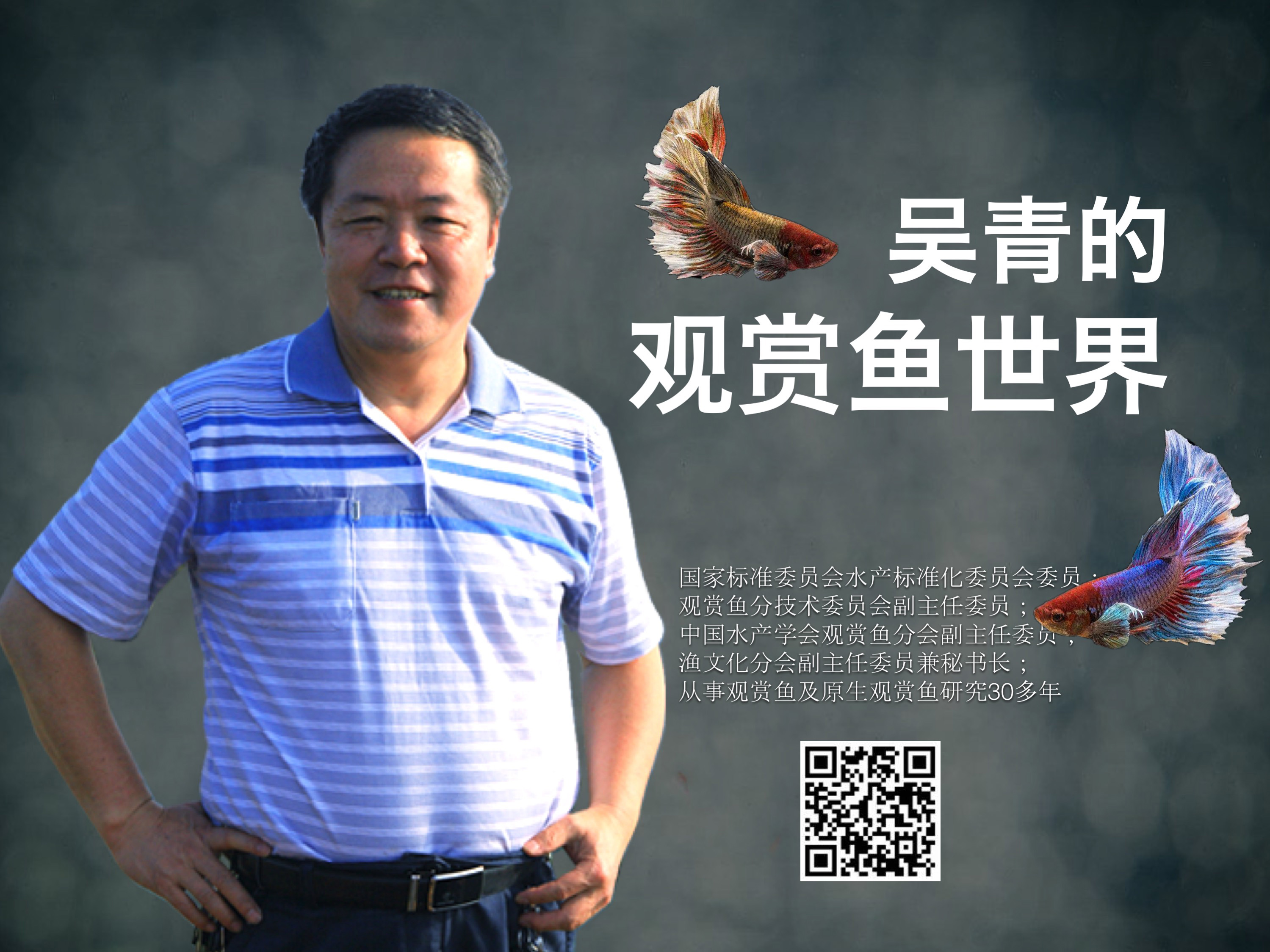 吴青的观赏鱼世界