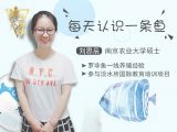 每天认识一种鱼（8）丨鳊鱼：世界冠军孙杨一顿饭吃了10条鳊鱼！