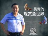 第二讲：什么是观赏鱼的观赏价值？