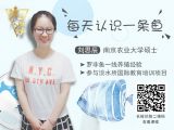 每天认识一条鱼(22)丨鳗鱼：世界上最纯净的水中生物