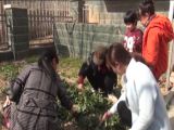快乐的“爱和自然环境”是孩子进步的关键