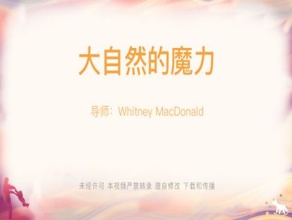 【Whitney-讲座】12.大自然的魔力