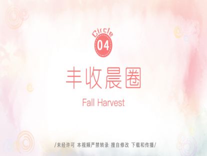 4.丰收晨圈
