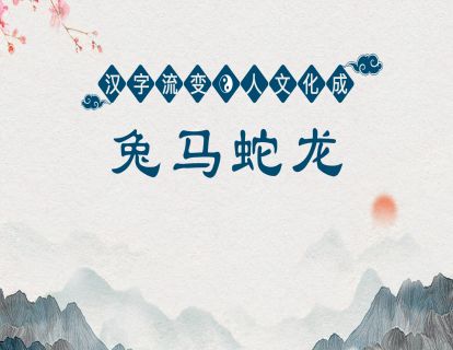 27.第十课第三节-兔马蛇龙