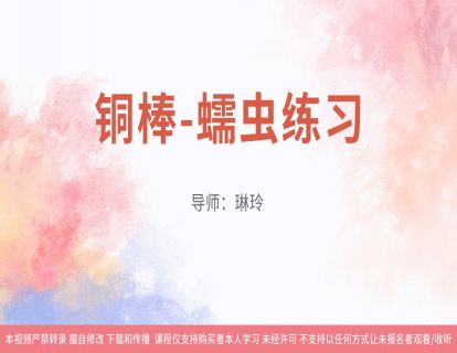 16铜棒-蠕虫练习