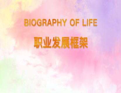 19.职业发展框架