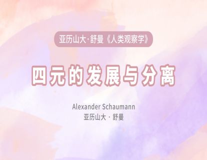 12 四元的发展与分离