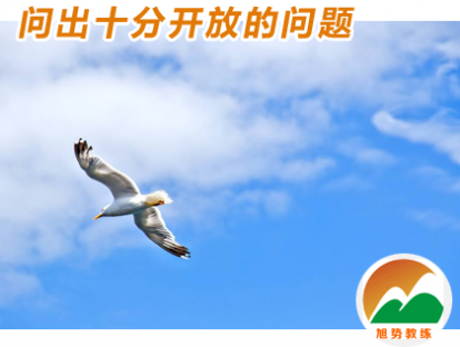 第10课《问出十分开放的问题》