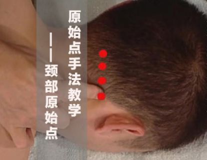原始点手法教学-4.颈部原始点